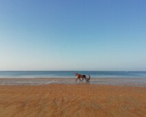 IMG_20180725_082652 25/07/2018 - Au petit matin la plage est à nous et aux chevaux. Early in the morning the beach is for us and the occasional horse - so beautiful!